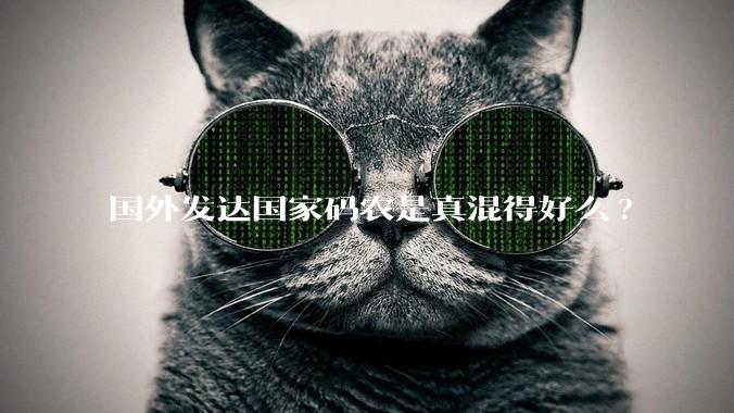 国外发达国家码农是真混得好么?