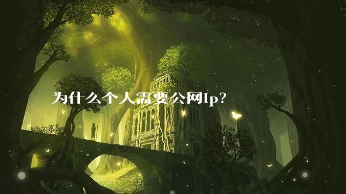 为什么个人需要公网ip？