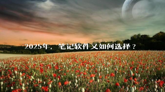 2025年，笔记软件又如何选择?