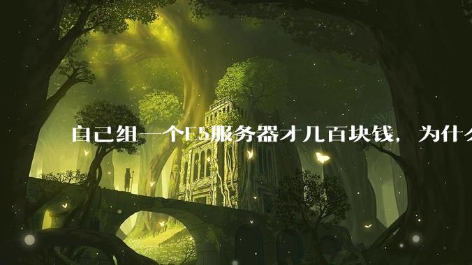 自己组一个E5服务器才几百块钱，为什么去阿里云租这么贵?