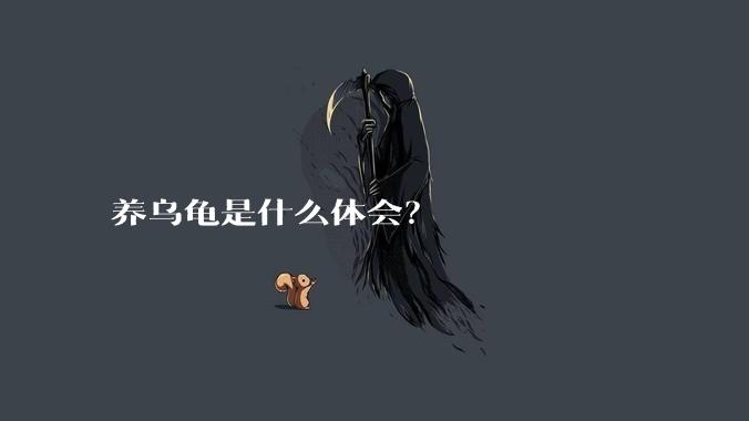 养乌龟是什么体会？