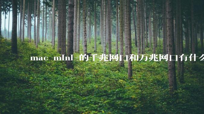 mac mini 的千兆网口和万兆网口有什么区别，哪种更适合家庭使用呢？