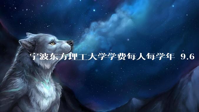 宁波东方理工大学学费每人每学年 9.6 万，为什么会这么贵？