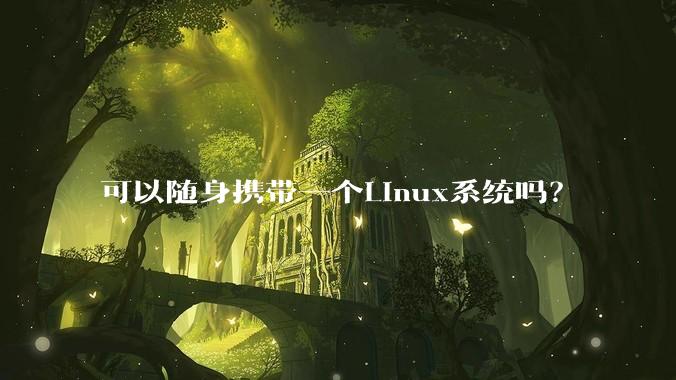 可以随身携带一个Linux系统吗？