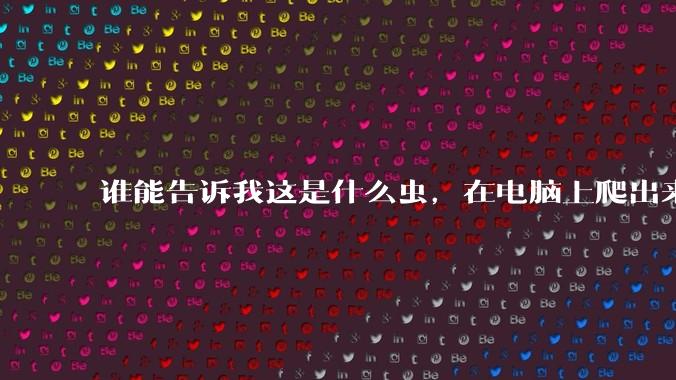 谁能告诉我这是什么虫，在电脑上爬出来吓死我了 ?