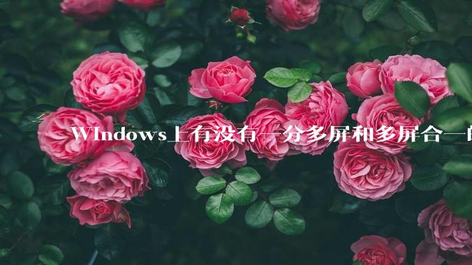 Windows上有没有一分多屏和多屏合一的软件？