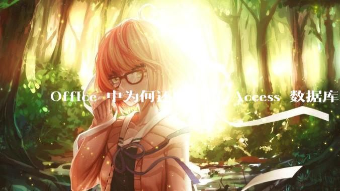 Office 中为何还要保留 Access 数据库?