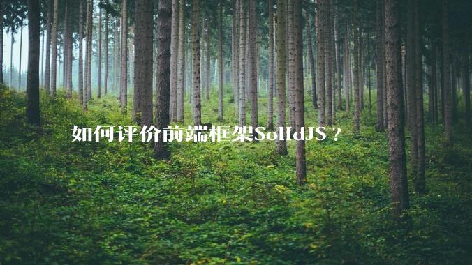 如何评价前端框架SolidJS?