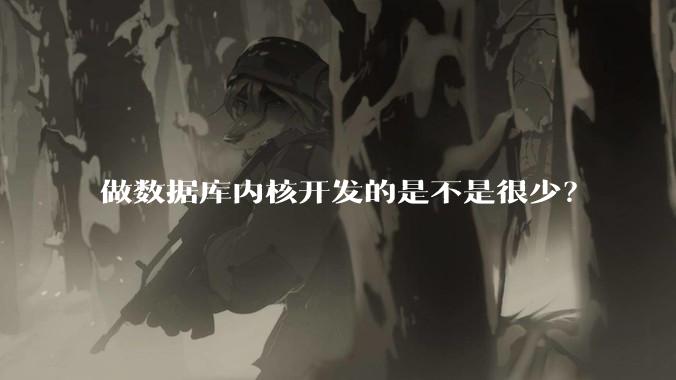 做数据库内核开发的是不是很少？