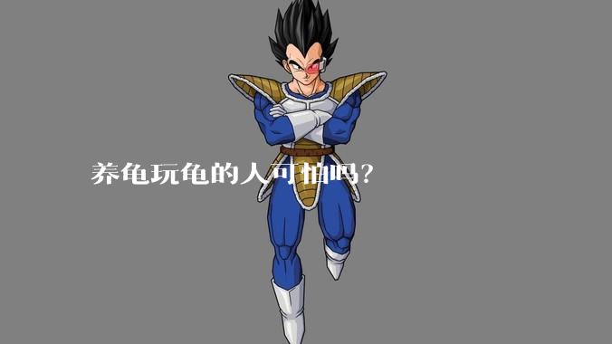 养龟玩龟的人可怕吗？