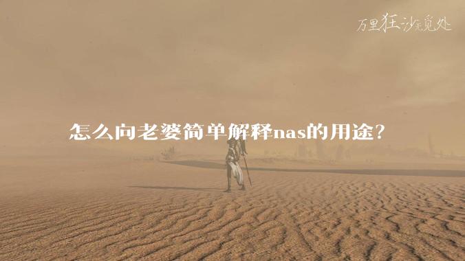 怎么向老婆简单解释nas的用途？