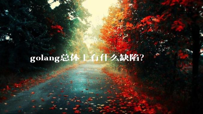 golang总体上有什么缺陷？