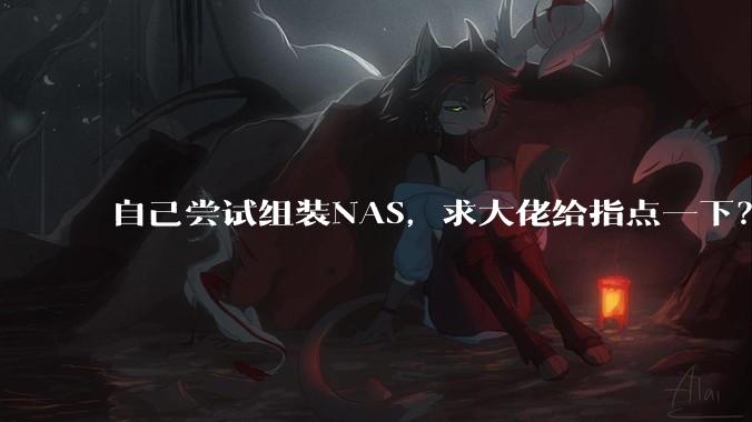 自己尝试组装NAS，求大佬给指点一下？