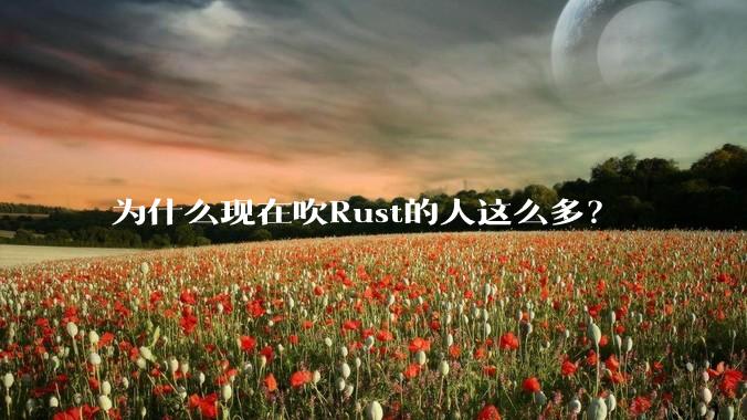 为什么现在吹Rust的人这么多？