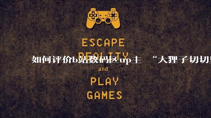 如何评价b站数码区up主 “大狸子切切里”?