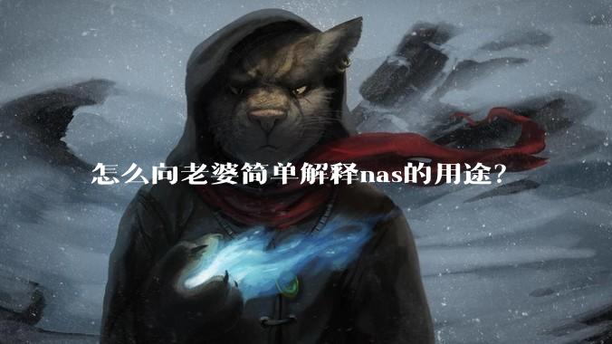 怎么向老婆简单解释nas的用途？