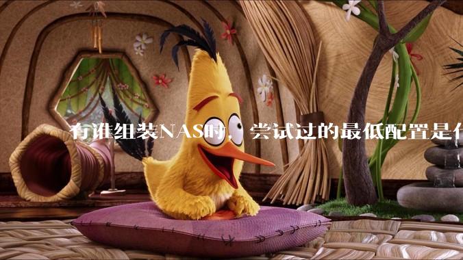 有谁组装NAS时，尝试过的最低配置是什么？