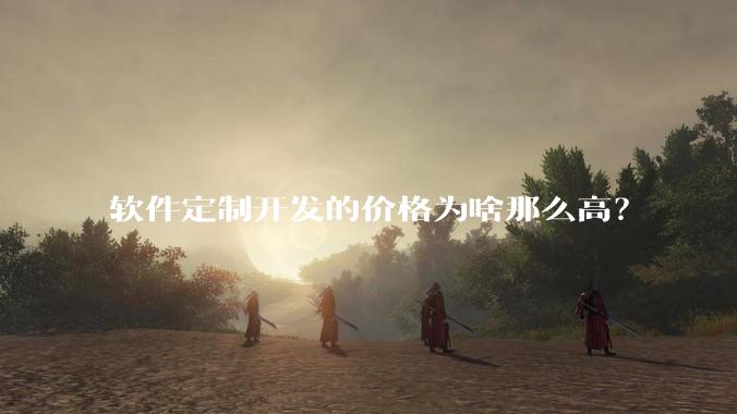 软件定制开发的价格为啥那么高？