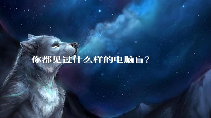 你都见过什么样的电脑盲？