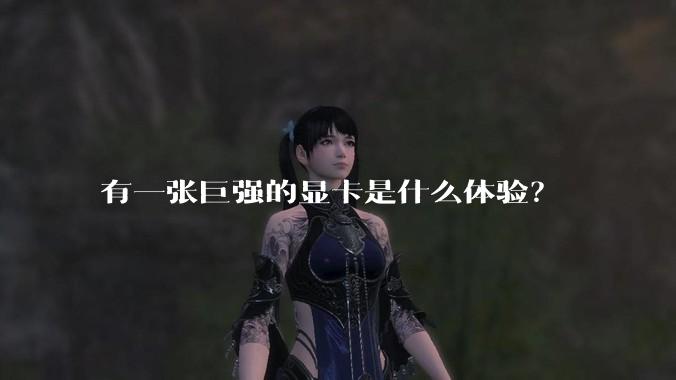 有一张巨强的显卡是什么体验？