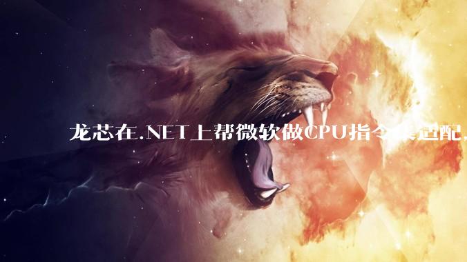 龙芯在.NET上帮微软做CPU指令集适配，为什么到国内.NET开发者这里成了维护龙芯.NET版本?