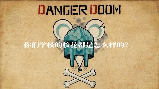 你们学校的校花都是怎么样的？