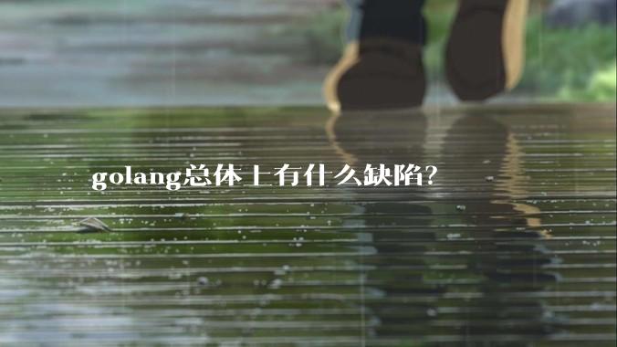 golang总体上有什么缺陷？