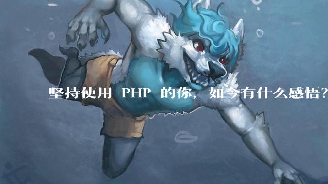 坚持使用 PHP 的你，如今有什么感悟？