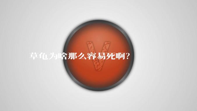 草龟为啥那么容易死啊？